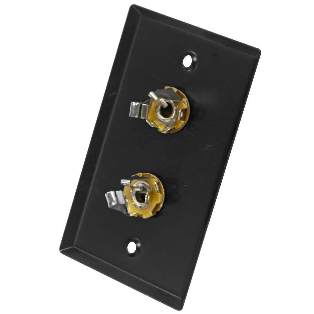 Black Stainless Steel Wall Plate - Dual 1/4" TRS Stereo Jacks