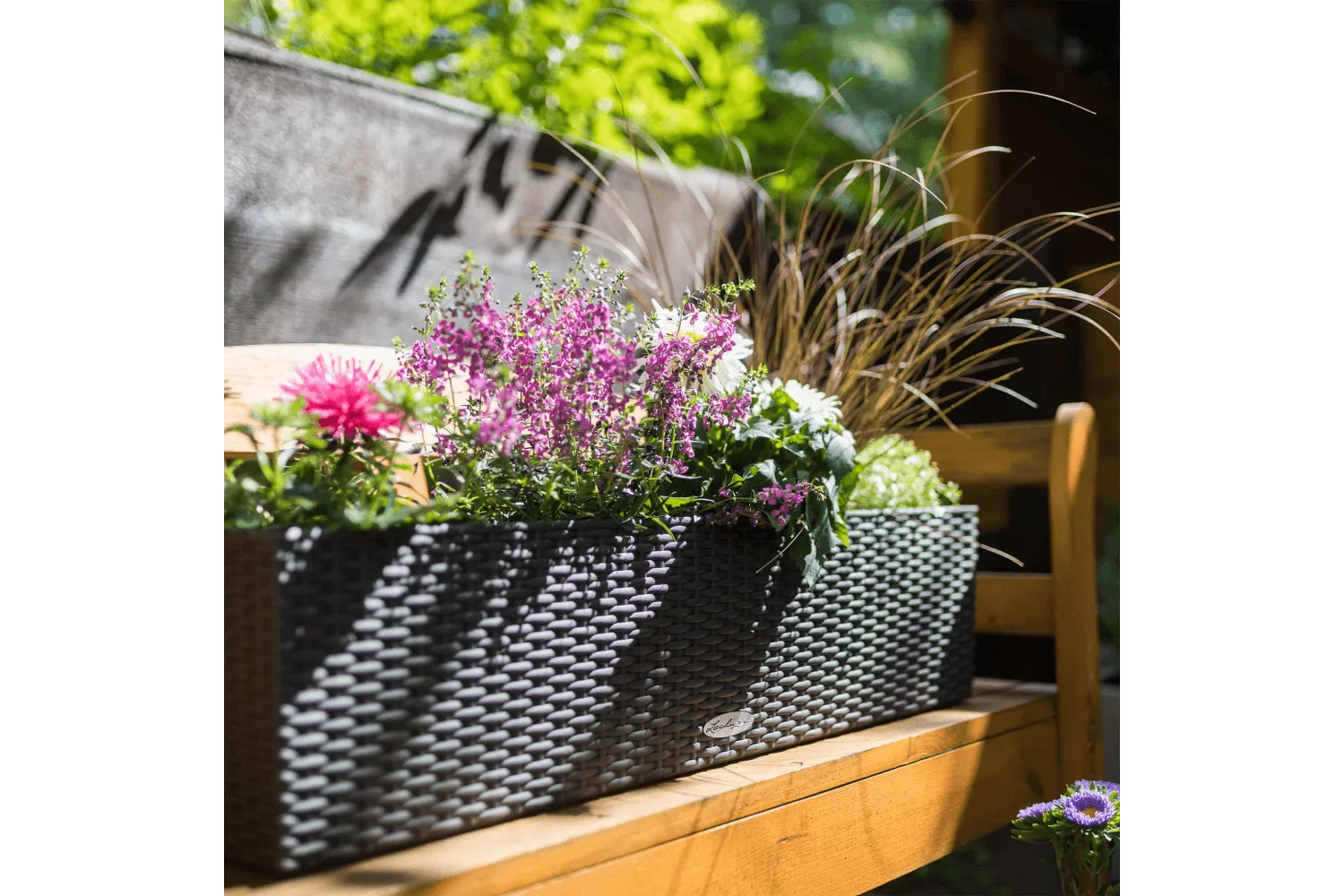 Cottage balconybox with self watering system 80 cm