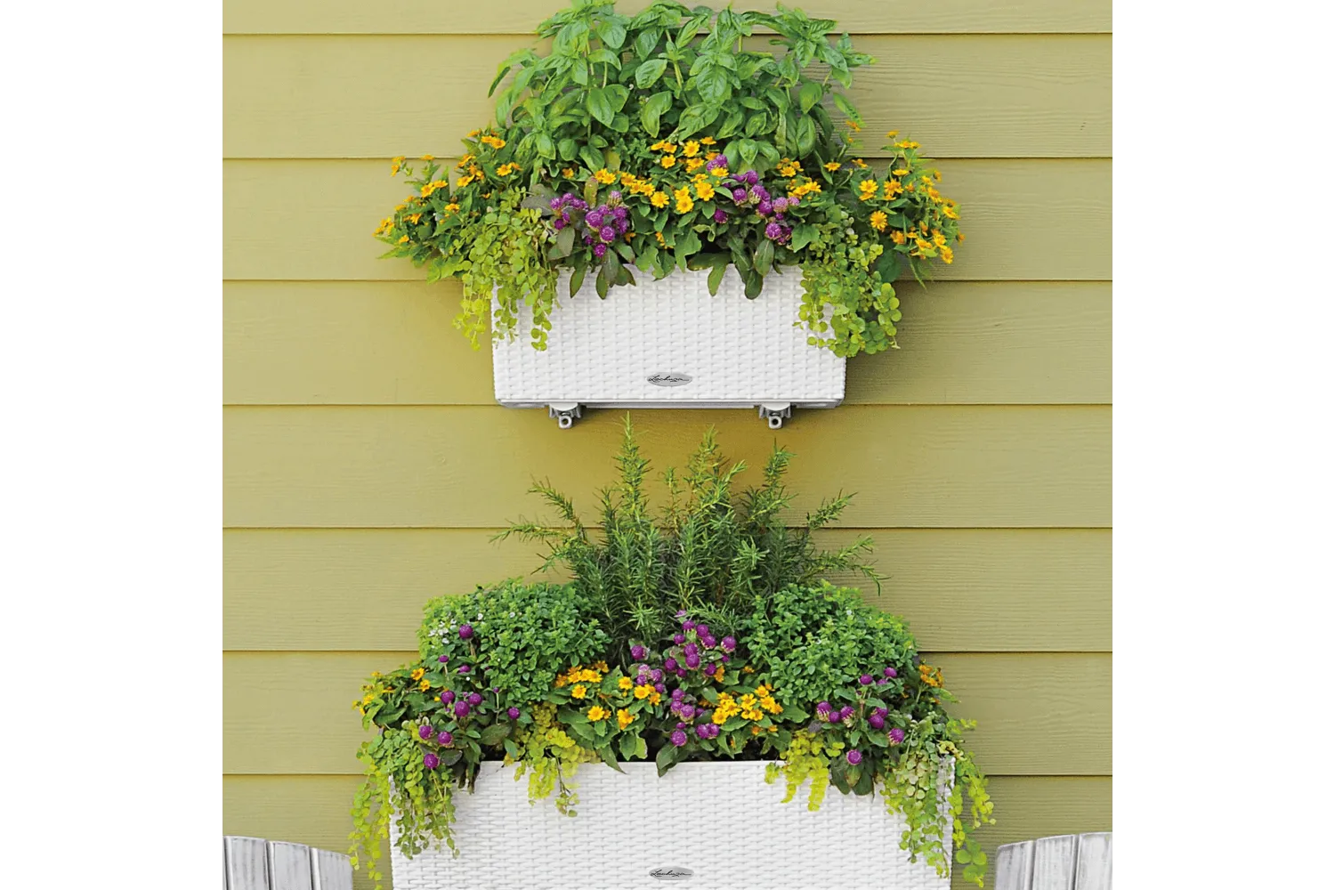 Cottage balconybox with self watering system 80 cm