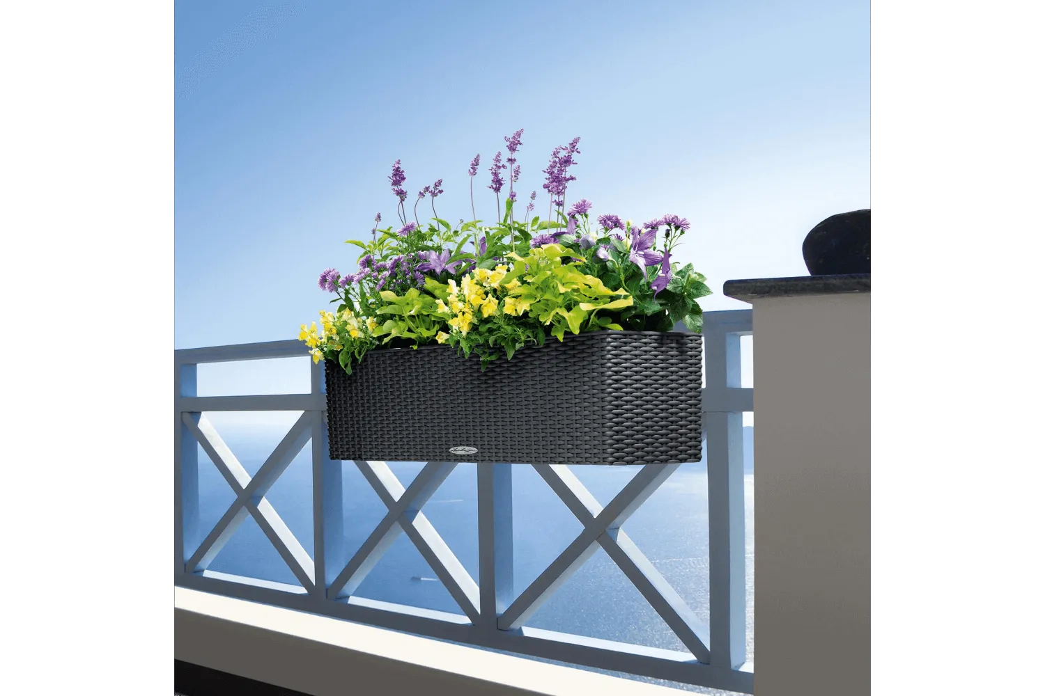 Cottage balconybox with self watering system 80 cm