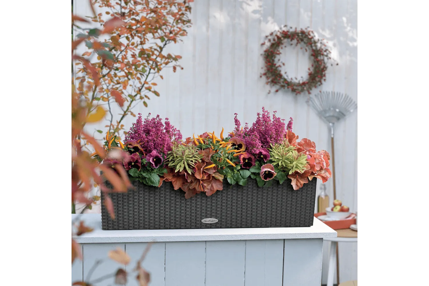 Cottage balconybox with self watering system 80 cm