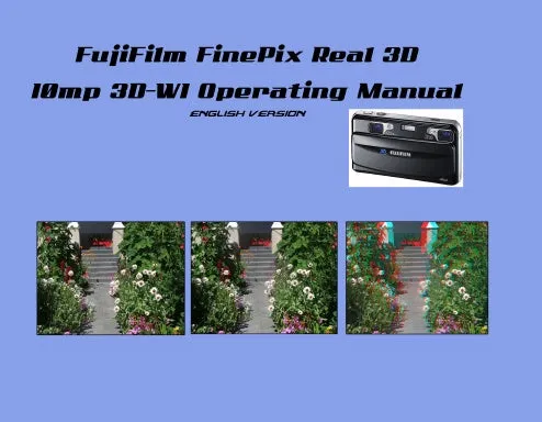 Fuji 3D Camera Manual