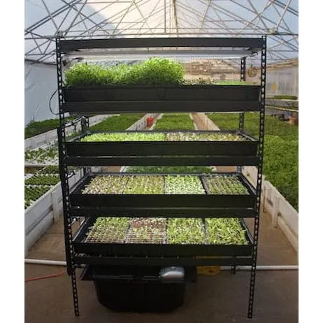 Growasis 4-Tier Nursery & Microgreen System