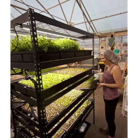 Growasis 4-Tier Nursery & Microgreen System