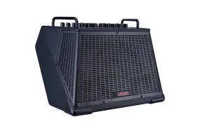 Joyo Technologies BSK-150 150W Battery Powered Acoustic Amplifier