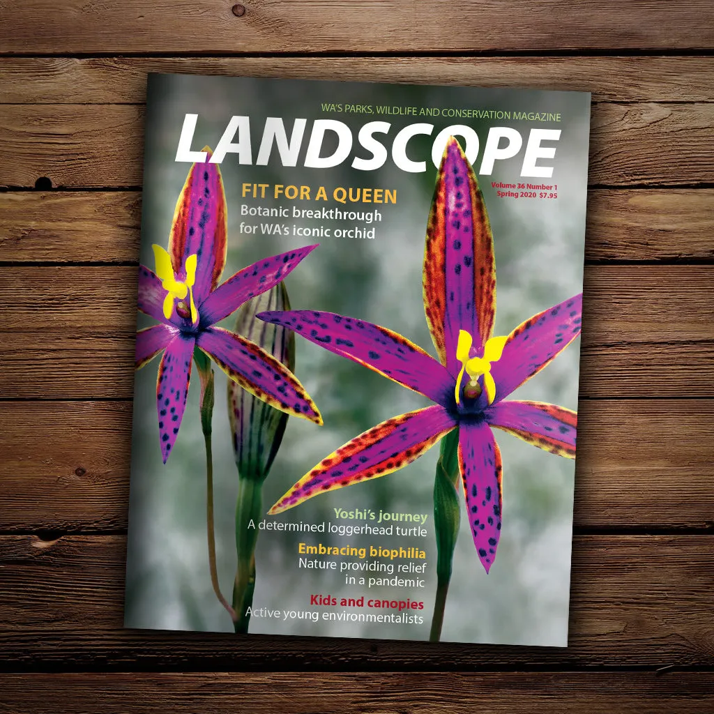 LANDSCOPE Vol 36/No 1 Spring 2020