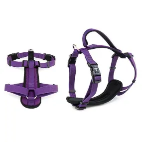 PREMIUM HARNESS 25MM X 80-100CM PURPLE XLARGE