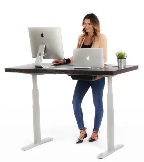 Single Motor Electric Stand Up Desk With Bluetooth Speaker System & LED Lighting