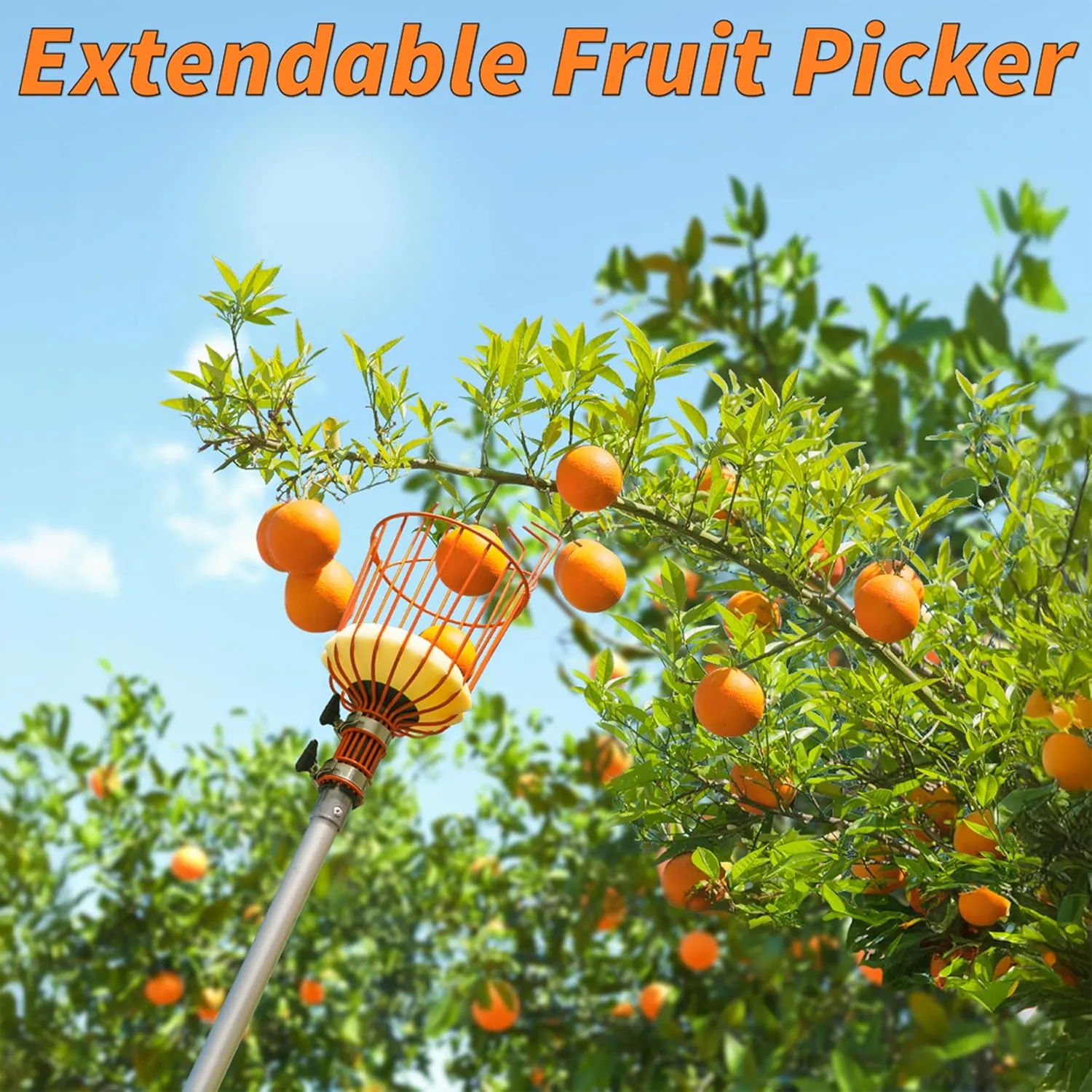 Telescoping Fruit Picker with Basket, Ultimate High-Reach Tool for Apples, Oranges, Mangoes, and More